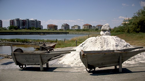 AGXIALOS.POMORIES.ERT.3.3.2.2021.4