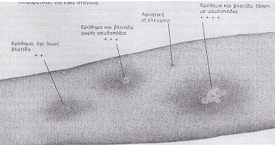 HLONIDIS.GEORGIOS.ASTHMA.DERMA.7