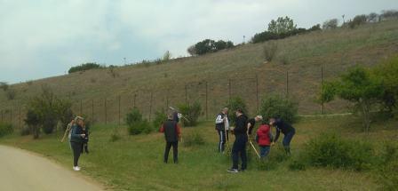 POE.GENOKTONIA.THERIMI.DEDROFYTEFSI.7.4.20191