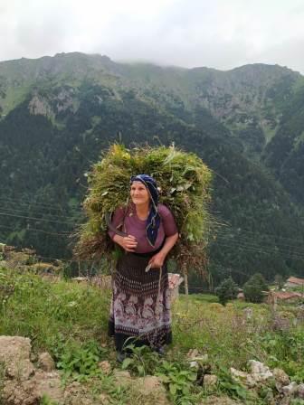 PONTOS.EFXINOS.LESXI.BEROIAS.2019 4