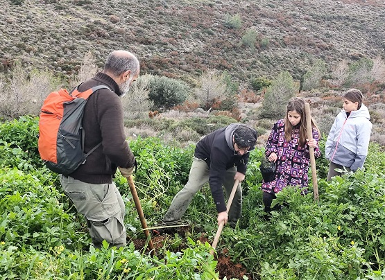 MELISIA.ALSOA.MNHMHS.25.1.2026 1